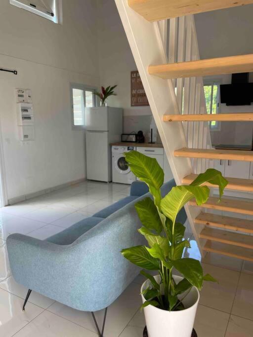 Villa Les Oiseaux D'Amour Sainte-Anne  Extérieur photo